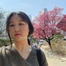 펫런치(Pet Lunch) | 시골호랑이의 서울살이 5탄