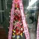 주식회사 신화 이미지