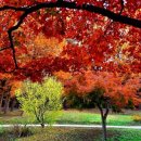 만추의 전원 이미지