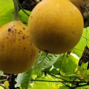 담비농장 이미지