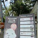한별농장 | 태안 청산수목원 팜파스축제 가격, 주차, 관람방법, 실망한 후기