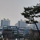 불당서울비디치과의원 이미지