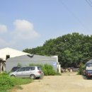 탄현면사무소 이미지