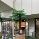 어라운드1142 | 부산 애견운동장, 애견카페] 어라운드펫 방문 후기