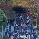 수능 이후 논술포기 절반육박.. 성대 결시율 49% 이미지