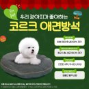 탄화코르크 이미지