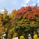 최용석내과의원 이미지