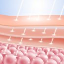고운성형외과의원 이미지