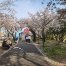 꽃보라동산 이미지