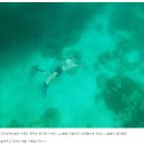 김수환무네 이미지