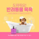 The 사랑할 개 이미지