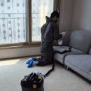 방역소독하와이케어