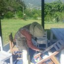 장계농장 이미지