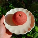 김포한강9로 12번길 이미지