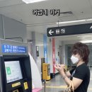 유명카 Daum카페