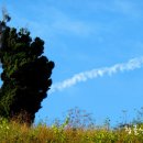 임계중앙교회 이미지