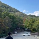 덕원자연휴양림(하동) 이미지