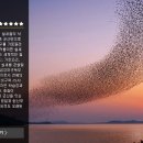 금강호 관광지 이미지