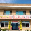털레기어탕국수
