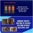 이엠에스스튜디오핏투엔티