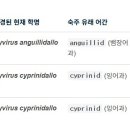 뱀장어의 Anguillid herpesvirus 1(AngHV-1)의 학명은 Cyvirus anguillidallo 1로 변경 이미지