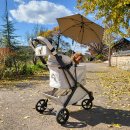 (주)칸디자인 | 로얄테일즈 글로리아 프리미엄 크라운백 사용후기&amp; 2025 메가주 첫날 부스 방문기