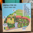 [제주 동쪽 가볼만한곳🌲] 비밀의숲 후기｜민트색 캠핑카 포토존부터 말 먹이주기 체험까지💚