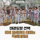 예일태권도장 이미지