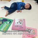책고양이 | 고양이러버 26개월 아기 고양이 책 연계독서 후기(사파리, 그레이트북스, 비룡소)