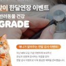 24시월드펫동물메디컬센터 이미지
