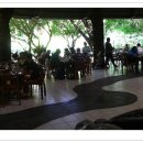 카오카오 이미지