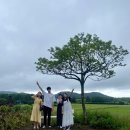 [제주한달살이] 6월 한달간의 후기 스타트_10