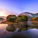 [울산 울주군, 남구, 중구][가족 추천 코스] 강바람 맞으며 죽림욕을 즐겨보자