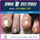 네일노브 이미지