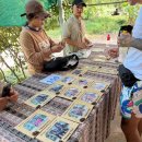 에코 파크 | 치앙마이 코끼리투어 [코처 코끼리 에코 파크 투어] 내돈내산 방문후기