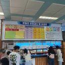 와현농장 | 거제도 여행 코스 외도 보타니아 배 타는 법 해금강 유람선 내돈내산 후기 블랙야크 섬앤산 인증 가능