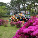 안양평화의소녀상 | 광명동굴 -라스코동굴벽화가 열리는 광명동굴테마파크