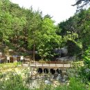 순천자연휴양림 이미지