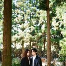 청량환경 | 제주 필름스냅 코닥 울트라맥스400으로 기록한 청량한 색감 후기