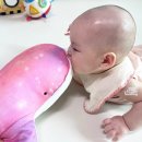 인형의 거리(용) 이미지