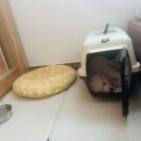 신공항동물병원 이미지