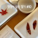 셀링바디 | 쌍둥이 임신 일기 10. 임산부 스케일링, 바디필로우, 일리윤 케어박스, 일상 (임신 24-25주)