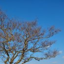 충청수영성 이미지