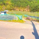 천원부동산공인중개사사무소 이미지