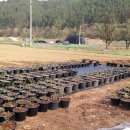 안녕농장 이미지