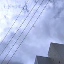 주식회사 다보 이미지