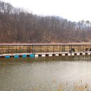 용대리낚시터 이미지