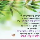 영월군정신건강복지센터 이미지