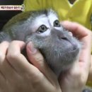 행렬농장 국민일보