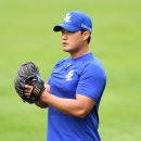 다지구장 스포츠서울